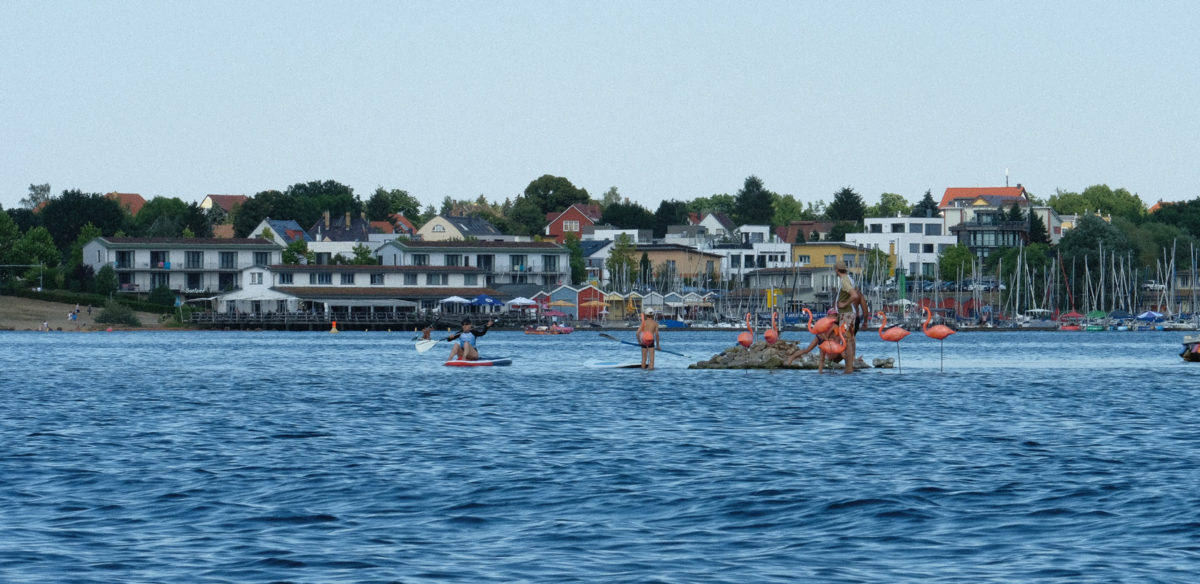 grinselleipzig2019 Grinsel am Cospudener See